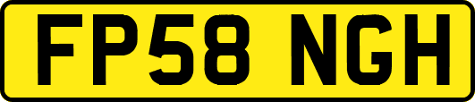 FP58NGH