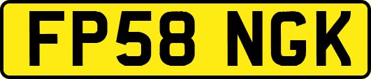 FP58NGK