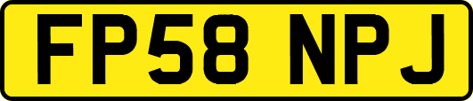 FP58NPJ