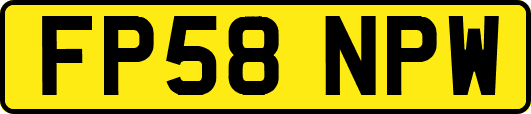 FP58NPW
