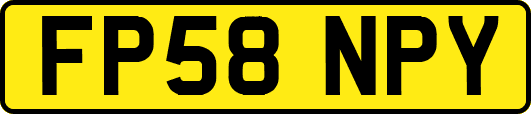 FP58NPY