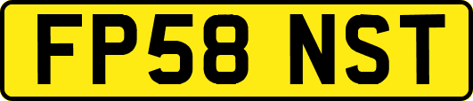 FP58NST