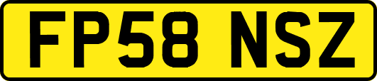 FP58NSZ