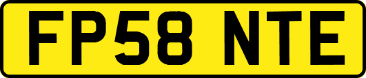 FP58NTE