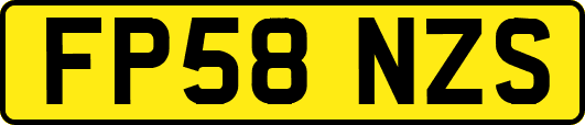FP58NZS