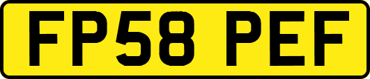 FP58PEF