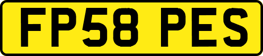 FP58PES