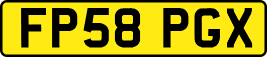 FP58PGX
