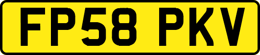 FP58PKV