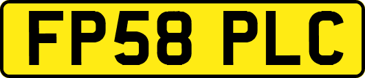 FP58PLC