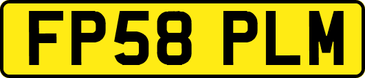 FP58PLM