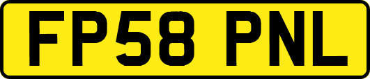 FP58PNL