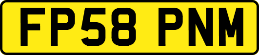 FP58PNM