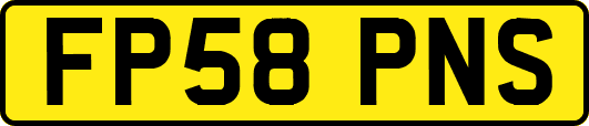 FP58PNS
