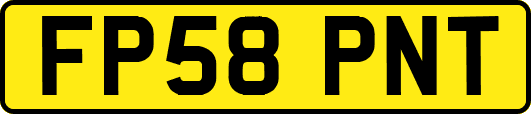 FP58PNT