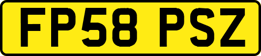 FP58PSZ