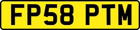FP58PTM