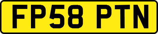 FP58PTN