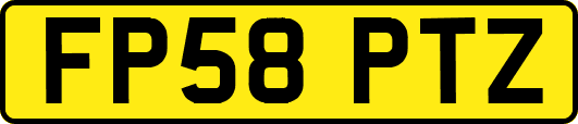 FP58PTZ