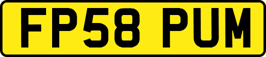 FP58PUM