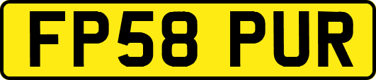 FP58PUR