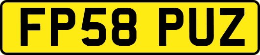 FP58PUZ