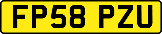 FP58PZU