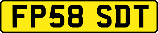 FP58SDT