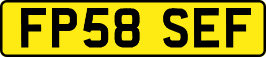 FP58SEF
