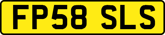 FP58SLS