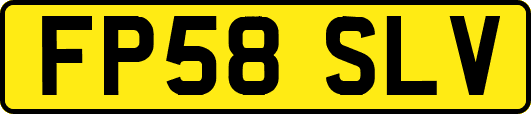 FP58SLV