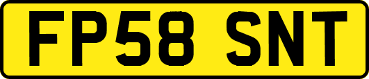 FP58SNT