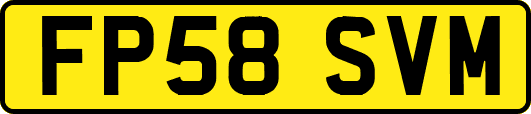 FP58SVM