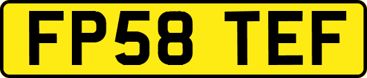 FP58TEF