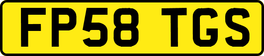 FP58TGS