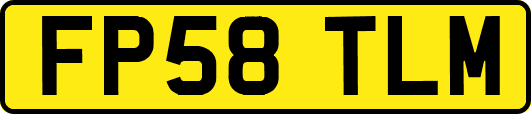 FP58TLM