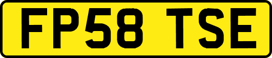FP58TSE