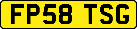 FP58TSG