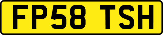 FP58TSH