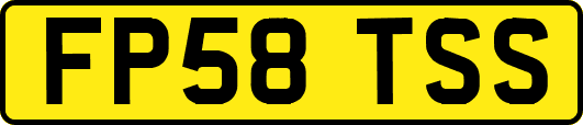 FP58TSS