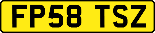 FP58TSZ
