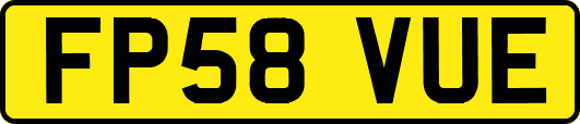 FP58VUE