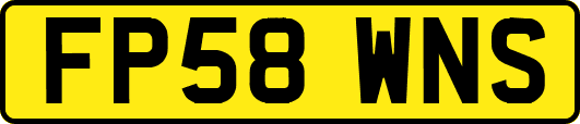 FP58WNS