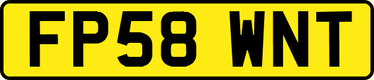 FP58WNT
