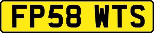 FP58WTS