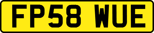 FP58WUE