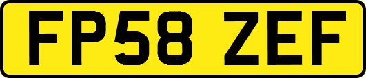 FP58ZEF