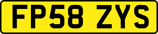 FP58ZYS