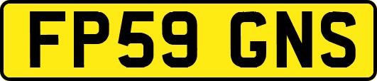 FP59GNS