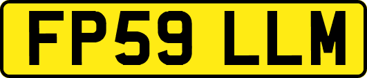 FP59LLM